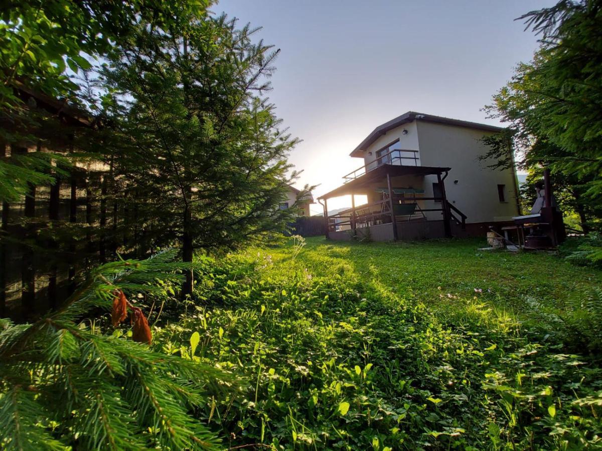 Вилла C House Буштени Экстерьер фото