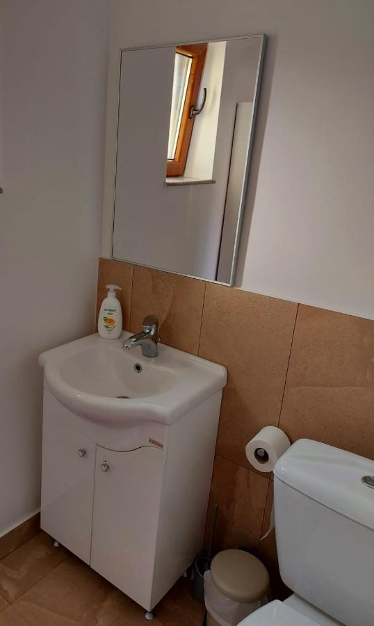 Вилла C House Буштени Экстерьер фото