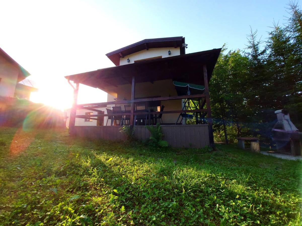 Вилла C House Буштени Экстерьер фото